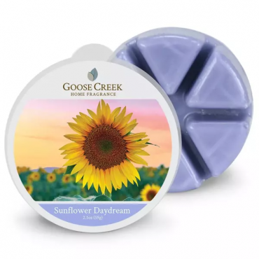 Goose Creek Kerze Sonnenblume Daydream Duft Wachs