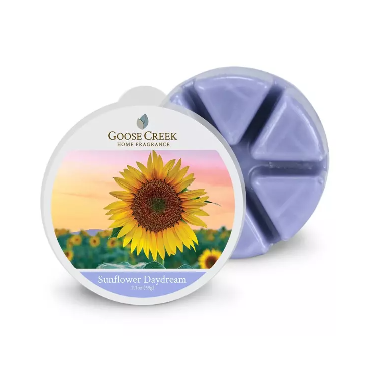 Goose Creek Kerze Sonnenblume Daydream Duft Wachs