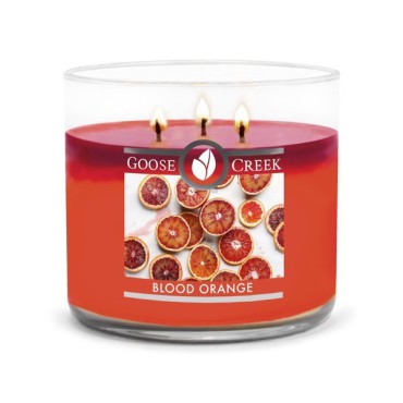 Becher Blutorange Goose Creek Kerze