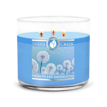 Tumbler Fresh Picked Dandelions Kerze Goose Creek Candle