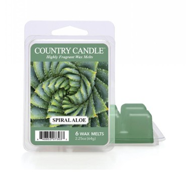 Country Candle Spirale Aloe Duftwachs