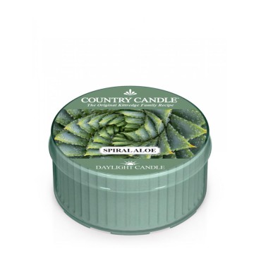 Tageslicht Spirale Aloe Land Kerze