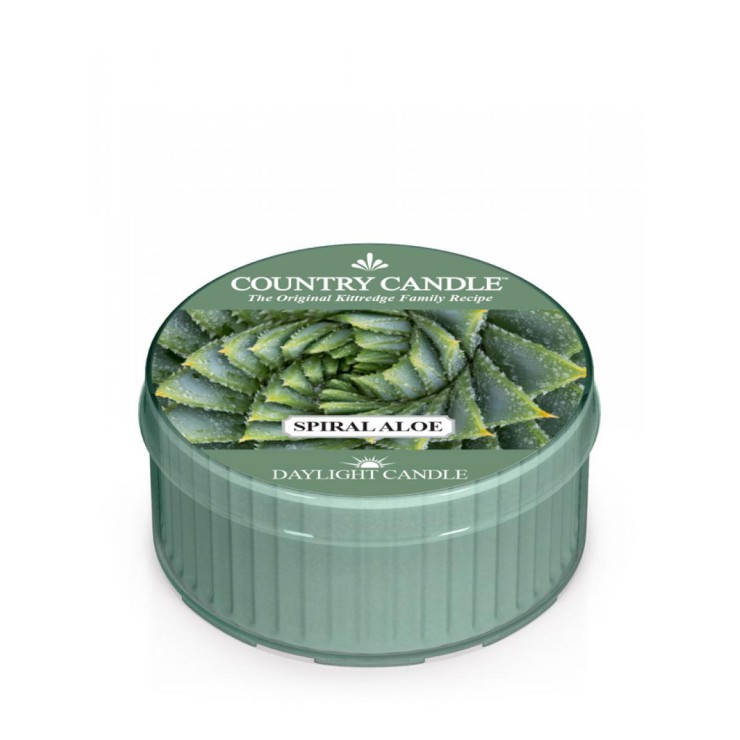 Tageslicht Spirale Aloe Land Kerze