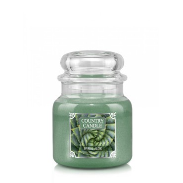 Medium Spirale Aloe Land Kerze