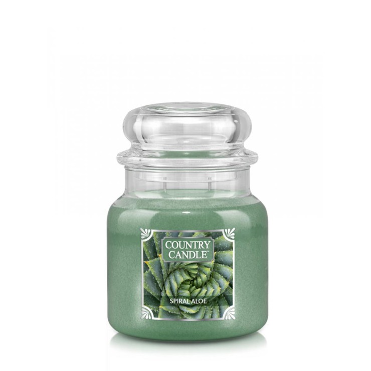 Medium Spirale Aloe Land Kerze