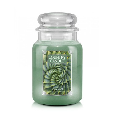 Große Spirale Aloe Country Kerze