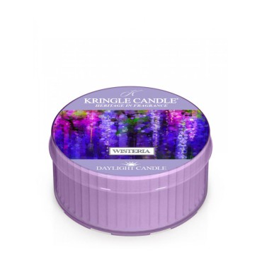 Daylight Wisteria Kerze Kringle Kerze