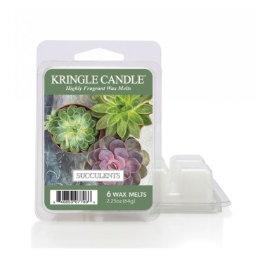 Sukkulenten Kringle Kerze Duft Wachs