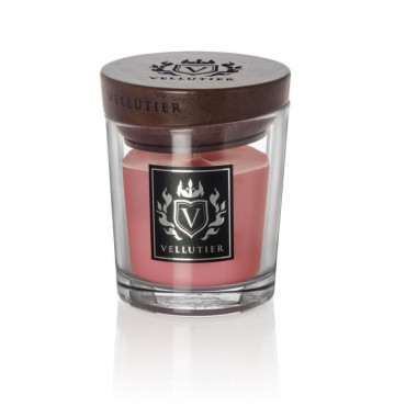Kleine Sukkulente Rosa Grapefruit Kerze von Vellutier