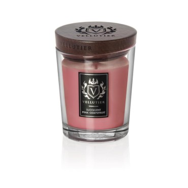 Medium Sukkulente Rosa Grapefruit Vellutier Kerze