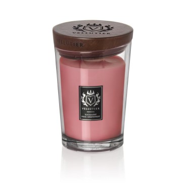 Große Sukkulente Rosa Grapefruit Vellutier Kerze