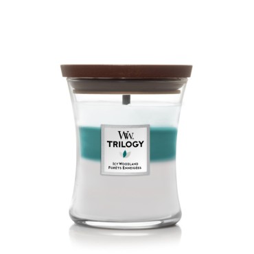 Medium Icy Woodland Woodwick Kerze