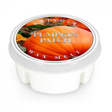 Pumpkin Patch Wax von Kringle Candle
