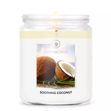 Kleine Beruhigende Kokosnuss Goose Creek Kerze
