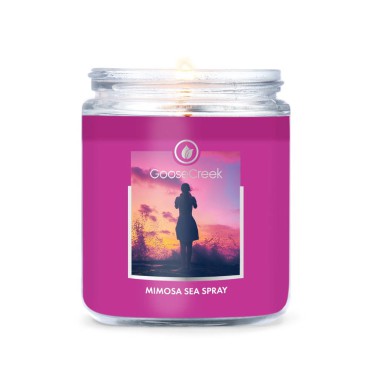 Goose Creek Candle kleine Kerze Mimosa Sea Spray