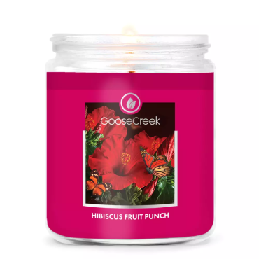 Kleine Hibiskus Fruchtpunsch Kerze Goose Creek Kerze