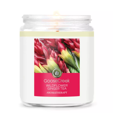 Kleine Wildflower Ginger Tea Kerze Goose Creek Kerze