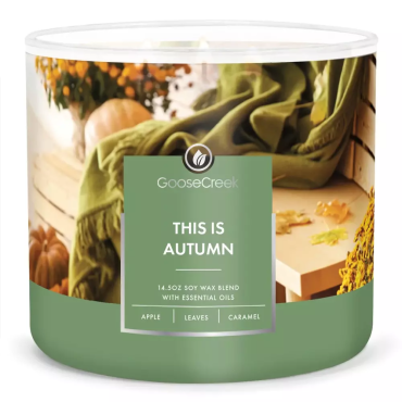Tumbler Dies ist Herbst Goose Creek Kerze