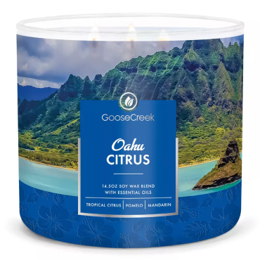 Becher Oahu Zitrus Goose Creek Kerze