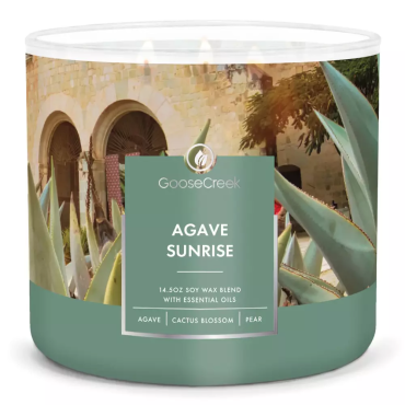 Goose Creek Kerze Sonnenaufgang Agava Tumbler Kerze