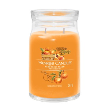 Große Kerze Signature Farm Fresh Peach von Yankee Candle