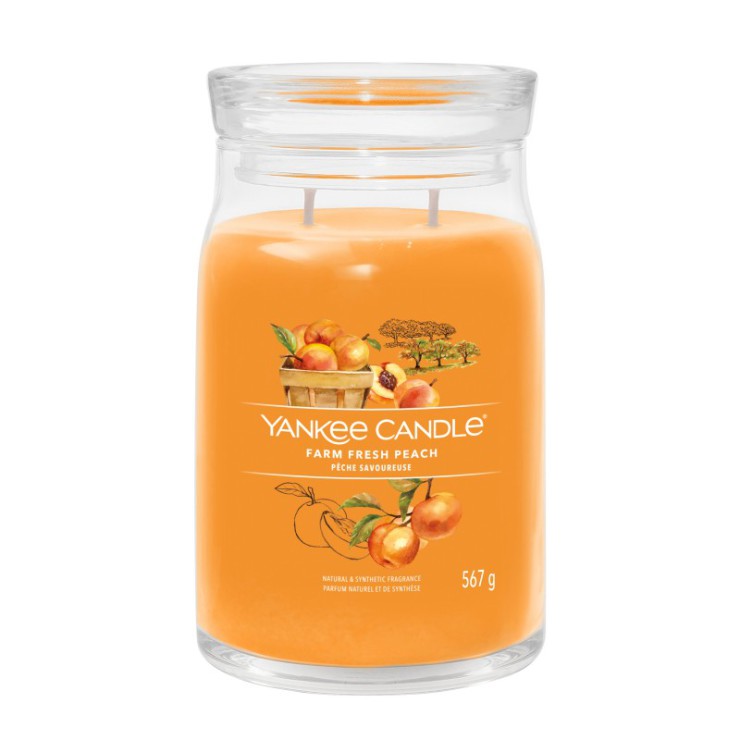 Große Kerze Signature Farm Fresh Peach von Yankee Candle