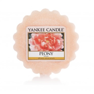 Pfingstrose Yankee Candle Wachs