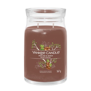 Große Kerze Signature Praline & Birch von Yankee Candle