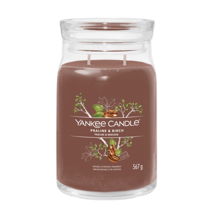 Große Kerze Signature Praline & Birch von Yankee Candle