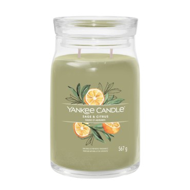 Große Kerze Signature Sage & Citrus von Yankee Candle