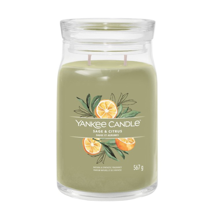 Große Kerze Signature Sage & Citrus von Yankee Candle