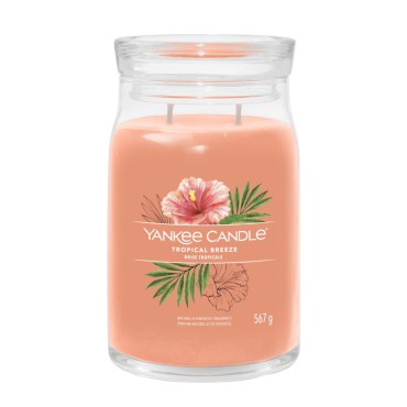 Große Signatur Tropical Breeze Yankee Kerze