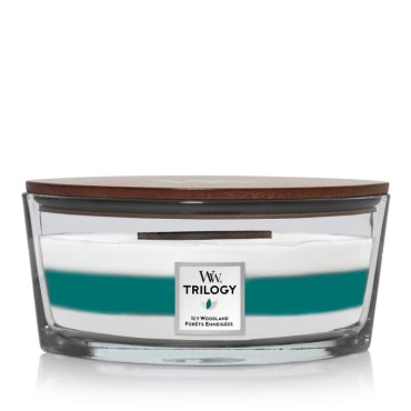 Hearthwick Trilogy Icy Woodland WoodWick Kerze
