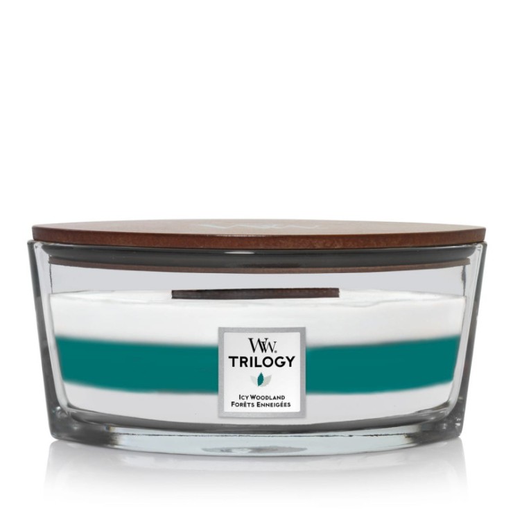 Hearthwick Trilogy Icy Woodland WoodWick Kerze