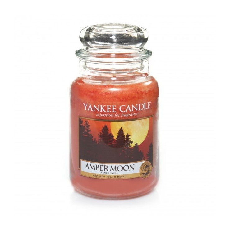 Amber Moon Yankee Candle große Kerze