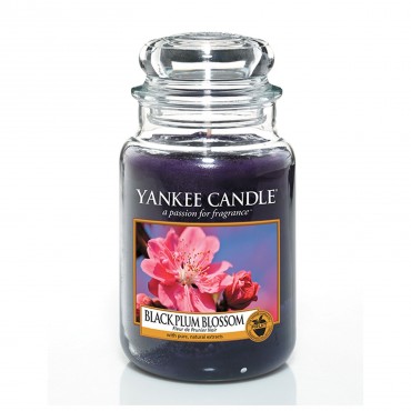 Black Plum Blossoms große Kerze von Yankee Candle