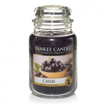 Große Cassis Yankee Kerze
