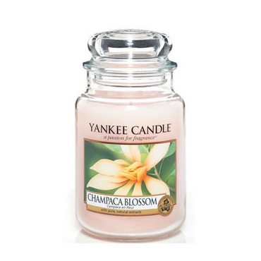 Große Champaca Blossom Kerze von Yankee Candle