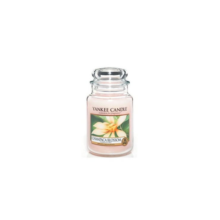 Große Champaca Blossom Kerze von Yankee Candle