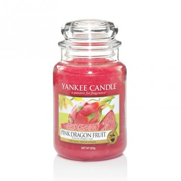 Große rosa Drachenfrucht Yankee Kerze