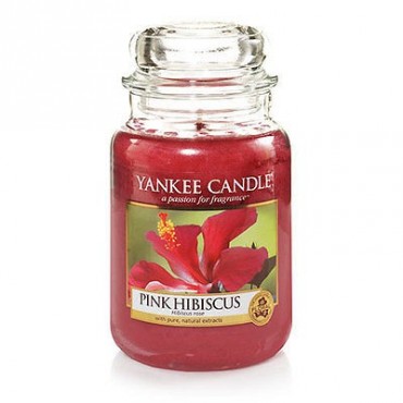 Große rosa Hibiskus Yankee Kerze