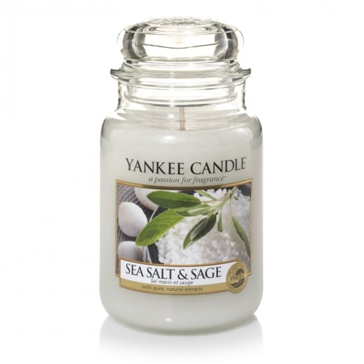 Große Kerze Sea Salt & Sage von Yankee Candle