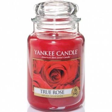 Große Yankee-Kerze True Rose