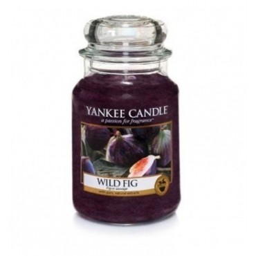 Wilde Feige große Kerze von Yankee Candle