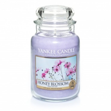 Große Honey Blossom Kerze von Yankee Candle