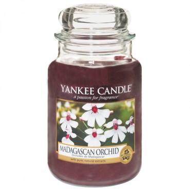 Große Kerze Madagaskar-Orchidee von Yankee Candle