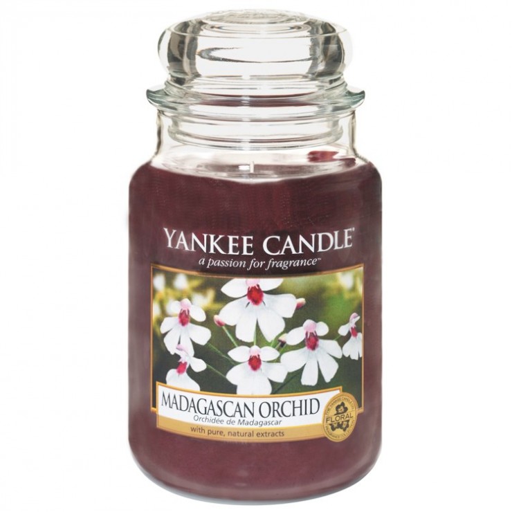 Große Kerze Madagaskar-Orchidee von Yankee Candle