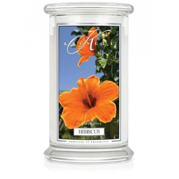 Große Hibiskus-Kringel-Kerze