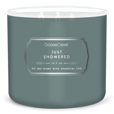 copy of Świeca Tumbler FOR MEN Driftwood Goose Creek Candle