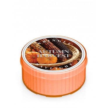 Daylight Autumn Harvest Kringle Kerze
